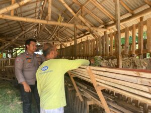 Wujudkan Asta Cita Presiden; Bhabinkamtibmas Polresta Banyuwangi Dampingi dan Monitoring Peternak Kambing Dalam Program Ketahanan Pangan
