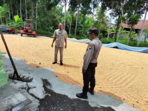 Kapolresta Banyuwangi Apresiasi Langkah Polsek Tegalsari dalam Mendukung Ketahanan Pangan