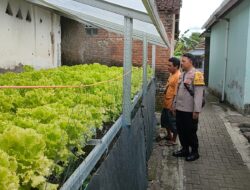 Pemanfaatan pekarangan dengan Sistem Menanam Hidroponik; Bhabinkamtibmas Polresta Banyuwangi Dukung Ketahanan Pangan