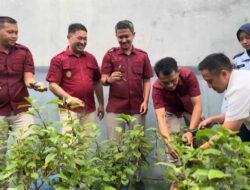 Program Ketahanan Pangan Berlanjut, Lapas Banyuwangi Panen Terong Welut dan Lele