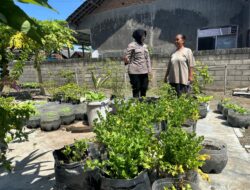 Momentum Hari Kartini; Polwan Polresta Banyuwangi Dampingi Warga tanam Seledri di Polybag Dukung Ketahanan Pangan