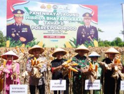 Petani di Ponorogo Puas dengan Jagung Hibrida Bhayangkara, Panen Melimpah dan Tahan Penyakit