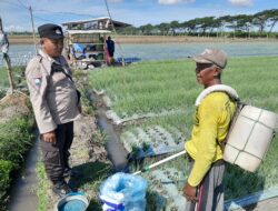 Dampingi Petani Bawang Merah, Bhabinkamtibmas Polresta Banyuwangi Dukung Ketahanan Pangan