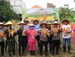 Polres Pelabuhan Tanjungperak bersama Poktan Panen Raya Jagung Tahap 7, Perkuat Ketahanan Pangan Nasional