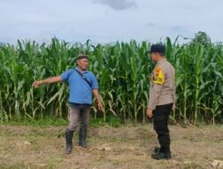 Polisi di Banyuwangi Dampingi Petani untuk Dukung Swasembada Pangan