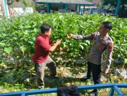 Polisi di Banyuwangi Dukung Ketahanan Pangan, Aktif Dampingi Warga Manfaatkan Pekarangan