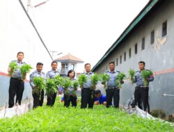 Manfaatkan Lahan Sempit, Lapas Banyuwangi Sukses Panen Kangkung untuk Dukung Ketahanan Pangan