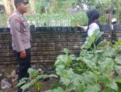 Polisi dan Kelompok Wanita Tani di Banyuwangi Aktif Berdayakan Pekarangan Pangan Lestari Dukung Ketahanan Pangan Nasional
