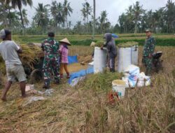 Minggu Produktif di Banyuwangi: Babinsa Dampingi Petani Wujudkan Kemandirian Pangan