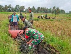 Babinsa Balak Bersama HIPPA Perbaiki Saluran Irigasi, Demi Ketahanan Pangan Yang Berkelanjutan