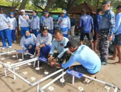 Lanal Banyuwangi bersama Kopaska TNI AL Tanam Terumbu Karang di Banyuwangi, Wujud Nyata Kepedulian pada Ekosistem Laut