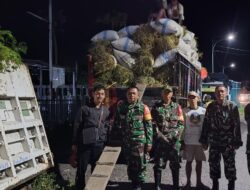 Sertu Mualimin Babinsa Koramil 0825/14 Kabat Bersinergi Dengan Bulog, Jemput Gabah Petani di Desa Benelan Lor