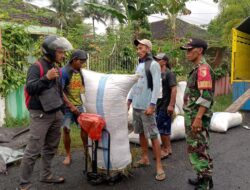 Babinsa Koramil Songgon Produktif Kawal Serapan Gabah Bulog Demi Ketahanan Pangan Di Kecamatan Songgon