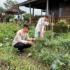 Sukseskan Ketahanan Pangan Nasional, Kapolsek Licin Polresta Banyuwangi Tinjau Budidaya Cabai di Desa Segobang