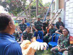 Bekali Pensiun Tetap Produktif, Anggota Kodim 0825/Banyuwangi Ikuti Pelatihan Mandiri Budidaya Ayam Petelur