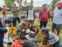 Babinsa Koramil 12 Rogojampi Dampingi Petani Watukebo Gencarkan Pengendalian Hama Tikus untuk Selamatkan Panen