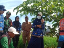 Sinergitas yang produktif, adaptif, dan inovatif Pada Kegiatan Gerakan Pengendalian Hama Tikus Digelar di Desa Pakistaji