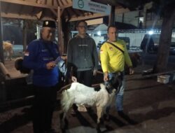 Jelang Idul Adha, Kapolresta Banyuwangi Serahkan Hewan Kurban untuk Wartawan