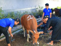 Lapas Banyuwangi Terima 17 Hewan Kurban, Warga Binaan Rasakan Kebahagiaan Idul Adha