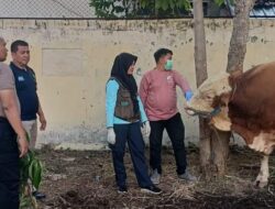 Polres Madiun Kota Datangkan Dokter Hewan Pastikan Kesehatan Hewan Kurban