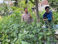 Polresta Banyuwangi Dukung Progam Bapak Presiden Prabowo Subianto program Pekarangan Pangan Bergizi di Desa Karangsari