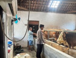 Dukung Asta Cita Presiden Prabowo Subianto, Polresta Banyuwangi Genjot Peternakan Sapi Rakyat