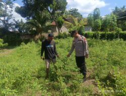 Polisi di Banyuwangi Aktif Berdayakan Pekarangan Pangan Lestari Dukung Program Presiden Prabowo Subianto Ketahanan Pangan Nasional