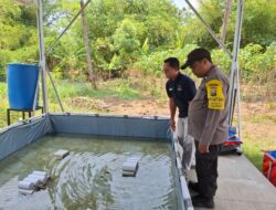Sukseskan Program Ketahanan Pangan Presiden Prabowo Subianto, Polresta Banyuwangi Galakkan Program Pekarangan Bergizi Budidaya Udang Air Tawar