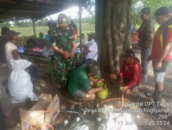 Cegah Gagal Panen, Babinsa Koramil Rogojampi Edukasi Petani Bubuk Atasi Hama Tikus dengan Metode Kompor