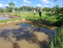 Bhabinkamtibmas Polsek Genteng Dorong Kualitas dan Gizi Program Presiden Prabowo melalui Pembinaan Peternak Ikan Nila di Desa Setail