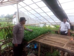 Pemanfaatan Pekarangan; Bhabinkamtibmas Polresta Banyuwangi Dampingi Warga Budidaya Pembibitan Cabai