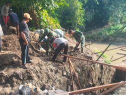 Angkong Jadi Mitra PRODUKTIF Babinsa dalam TMMD 125 Kodim Banyuwangi di Siliragung