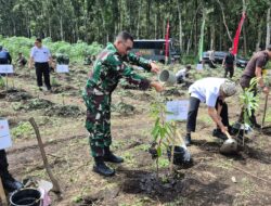 Dandim 0825/Banyuwangi Dorong Aksi Produktif Lewat Penanaman Pohon di Sempu