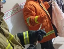 Ular Kobra Masuk Rumah Warga di Rogojampi, Petugas Damkar Lakukan Evakuasi Cepat