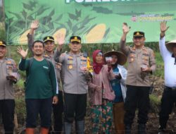 Polresta Banyuwangi Dukung Ketahanan Pangan Lewat Tanam Jagung Musim Kemarau