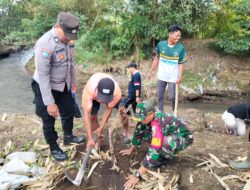 Babinsa Rogojampi Hadiri Penanaman Bambu dan Alpukat di Gintangan, Dukung Pelestarian Lingkungan