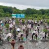 Kapten Inf Gunoto Wakili Dandim 0825 Banyuwangi.Hadiri Festival Mangrove Nasional 2025 di TN Alas Purwo