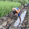 Gotong Royong TNI dan Warga Bangun Saluran Irigasi Demi Masa Depan Pertanian Siliragung