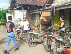 Polresta Banyuwangi Tindak Tegas Praktik Sabung Ayam, Dalami Dugaan Keterlibatan Oknum