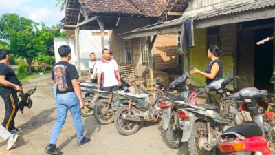 Polresta Banyuwangi Tindak Tegas Praktik Sabung Ayam, Dalami Dugaan Keterlibatan Oknum