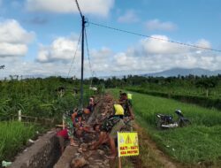 Satgas TMMD ke-125 Kodim 0825 Banyuwangi Genjot Pembangunan Saluran Irigasi, Progres Capai 50 Persen