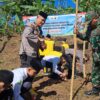 Polsek Kabat Tanam Jagung Bareng Santri Al Achyar, Wujudkan Ketahanan Pangan Berbasis Pesantren