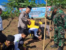 Polsek Kabat Tanam Jagung Bareng Santri Al Achyar, Wujudkan Ketahanan Pangan Berbasis Pesantren