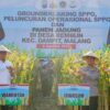 Panen Raya Jagung di Malang, Wujud Nyata Komitmen Polri dalam Ketahanan Pangan Nasional