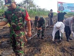 Sinergi TNI-Polri, Pemerintah, dan Ponpes di Tegaldlimo, Tanam Jagung Serentak Wujudkan Ketahanan Pangan