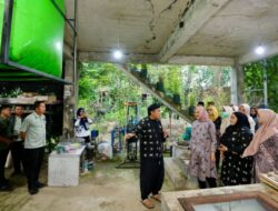 Sky Farm, Pusat Edukasi Gaya Hidup Berkelanjutan di Banyuwangi