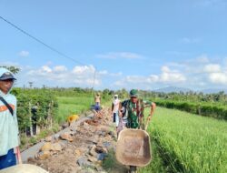 Tak Kenal Hari Libur, TNI dan Warga Kesilir Bersatu Cor Saluran Irigasi