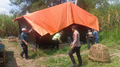 Polisi Bongkar Dua Arena Judi Sabung Ayam di Malang