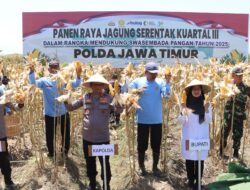 Polresta Banyuwangi Gelar Panen Jagung Serentak, Kapolda Jatim Apresiasi Dukungan untuk Ketahanan Pangan