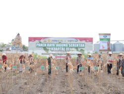 Polres Jember Gelar Panen Raya Jagung Serentak Kwartal III di Puger